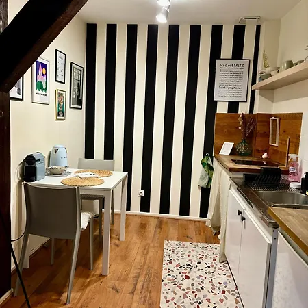 Fleure De Ly / Superb Studio Flat In Old Town Metz Exterior photo